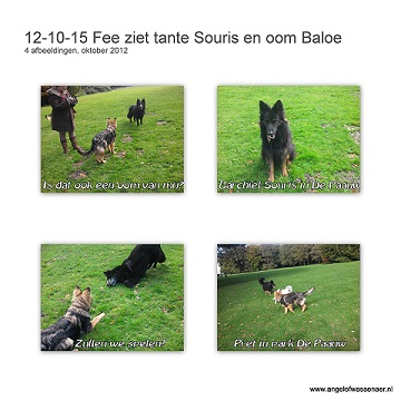 Fanuël_fee ontmoet in Park De Paauw haar oom Balou en tante Souris